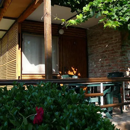 Zora - 2* ابزور