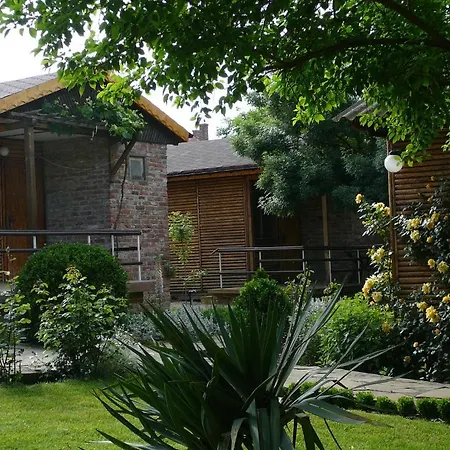 Zora - 2* ابزور