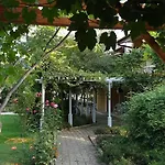 Zora -