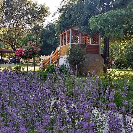 Kemping Zora - Obzor