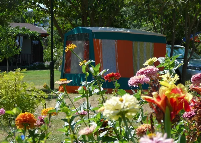 Zora - 2* אובזור